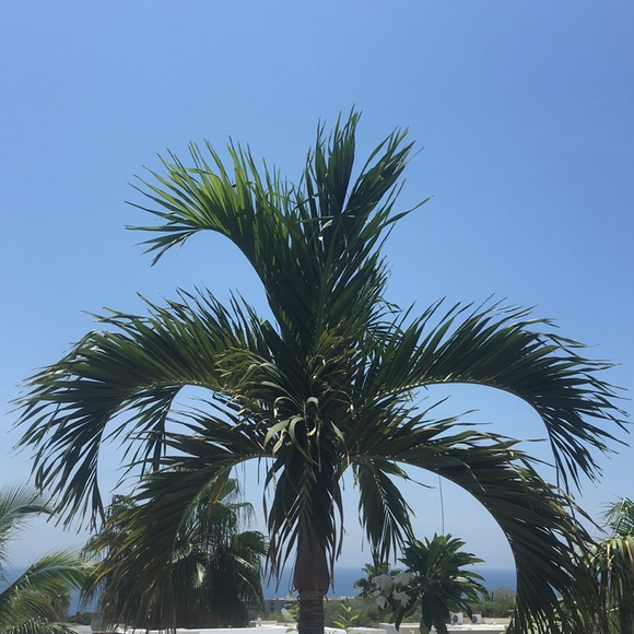 Meet your Posher, Michelle - Picture 1 of 1